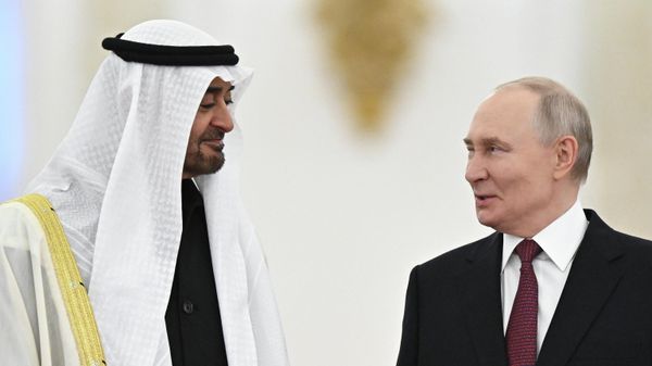 Meeting between Russian President Vladimir Putin and UAE President Mohamed bin Zayed Al Nahyan - Sputnik International