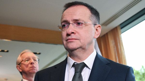 Russian presidential aide Vladimir Medinsky - Sputnik International
