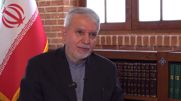 Iranian Minister of Cultural Heritage, Tourism and Handicrafts Reza Salehi Amiri - Sputnik International