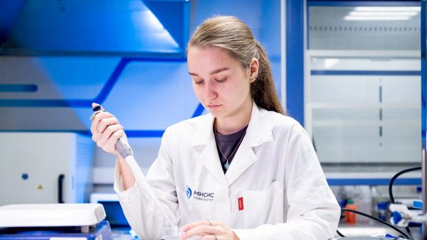 Wound-healing hydrogel based on a food thickener derived from algae, developed at MISIS - Sputnik International