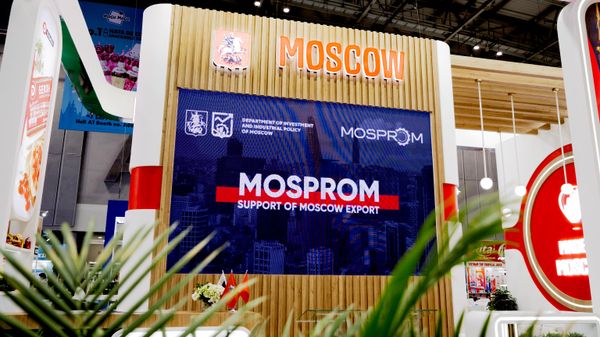 A Moscow delegation of industrialists held talks in Vietnam - Sputnik International