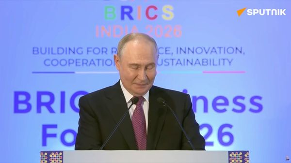 Putin's speech at BRICS Business Forum - Sputnik International
