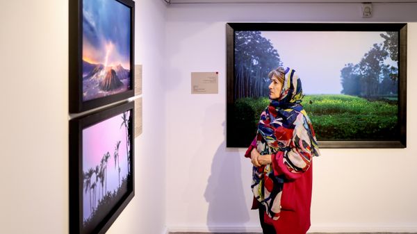Stenin's exhibition in Tehran - Sputnik International