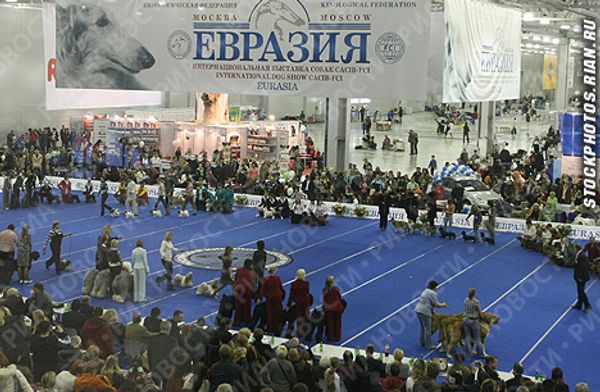 Photo Alexei Nikolsky - Sputnik International