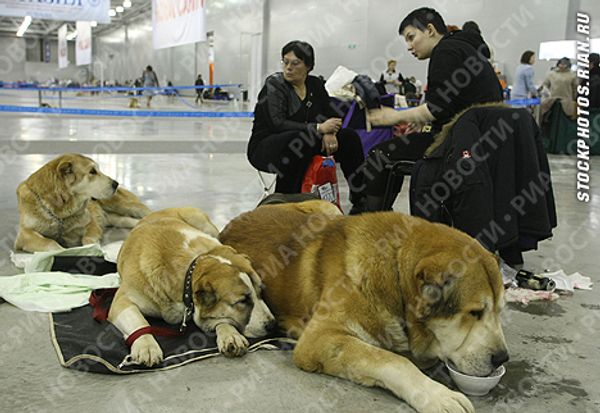 Photo Alexei Nikolsky - Sputnik International