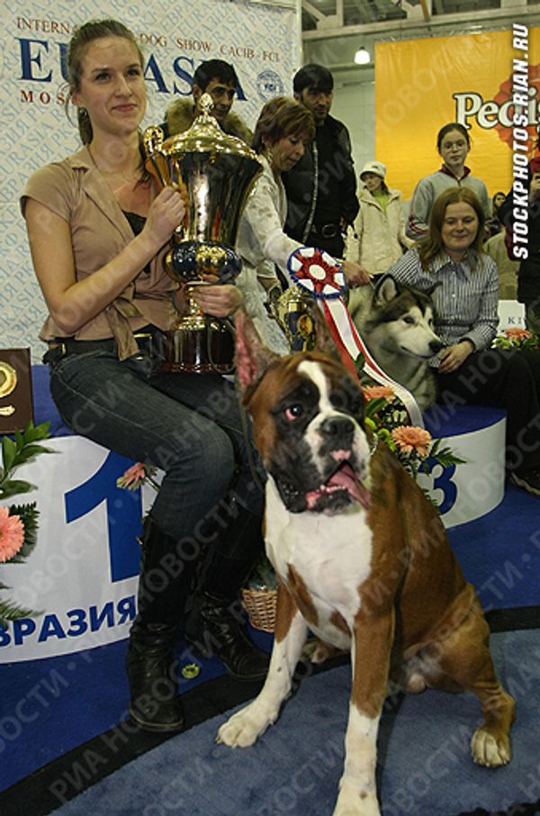 Photo Alexei Nikolsky - Sputnik International