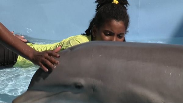 Therapy in an Aquarium: Dolphins Teach Kids With Special Needs How to Communicate - Sputnik International