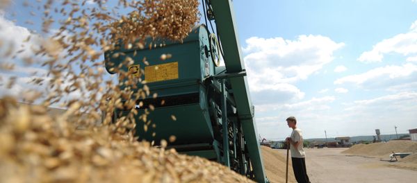 Russian agricultural workers will soon strengthen their positions in domestic market, and also strengthen their international competitive position - Sputnik International