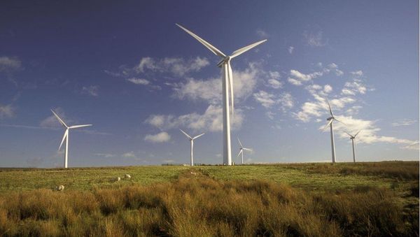 Wind farm - Sputnik International