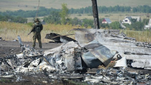 OSCE employees and experts work at Malaysia Airlines Boeing 777 crash site. OSCE employees and experts work at Malaysia Airlines Boeing 777 crash site. - Sputnik International