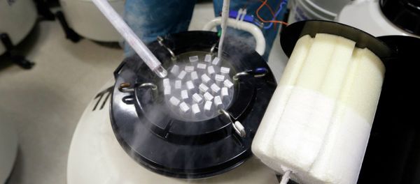 Embryologist Rick Slifkin displays some of the frozen sperm stored at Reproductive Medicine Associates of New York, in New York, Thursday, Oct. 3, 2013. - Sputnik International