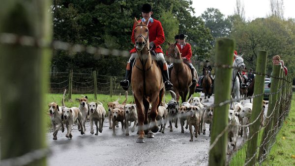 Britain Hunting - Sputnik International