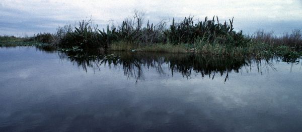 The sky reflects on the north-east boundary of the Evergaldes National Park, near Miami, on Monday, July 27, 1998. A $7.5 billion, 20-year project, referred to as the Central and Southern Florida Project Restudy, has been developed by a multi-agency committee of people and organizations interested in restoring the Everglades. - Sputnik International