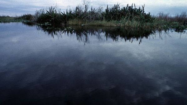 The sky reflects on the north-east boundary of the Evergaldes National Park, near Miami, on Monday, July 27, 1998. A $7.5 billion, 20-year project, referred to as the Central and Southern Florida Project Restudy, has been developed by a multi-agency committee of people and organizations interested in restoring the Everglades. - Sputnik International