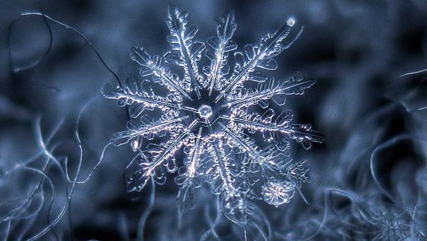 Snowflake macro - Sputnik International