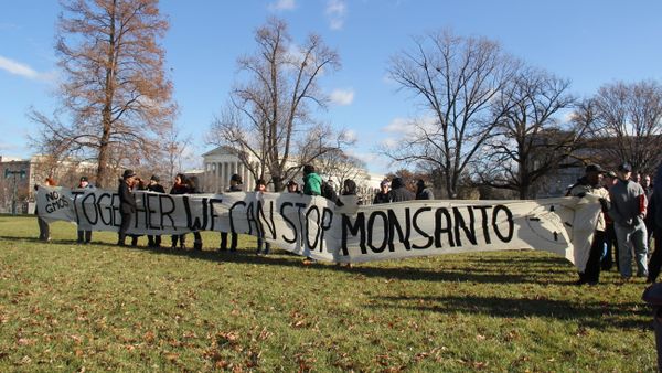 Busses of activists from more than a dozen states brought demonstrators to Washington D.C. for a rally against Monsanto outside the capitol Wednesday. Busses of activists from more than a dozen states brought demonstrators to Washington D.C. for a rally against Monsanto outside the capitol Wednesday. - Sputnik International