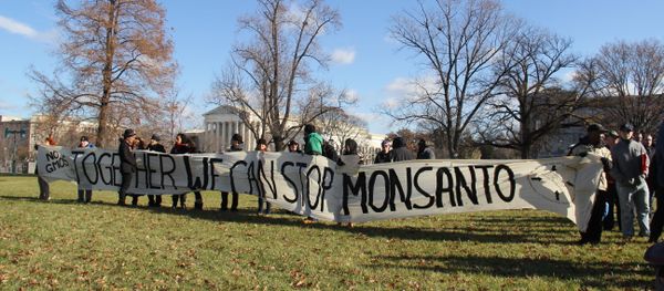 Busses of activists from more than a dozen states brought demonstrators to Washington D.C. for a rally against Monsanto outside the capitol Wednesday. - Sputnik International