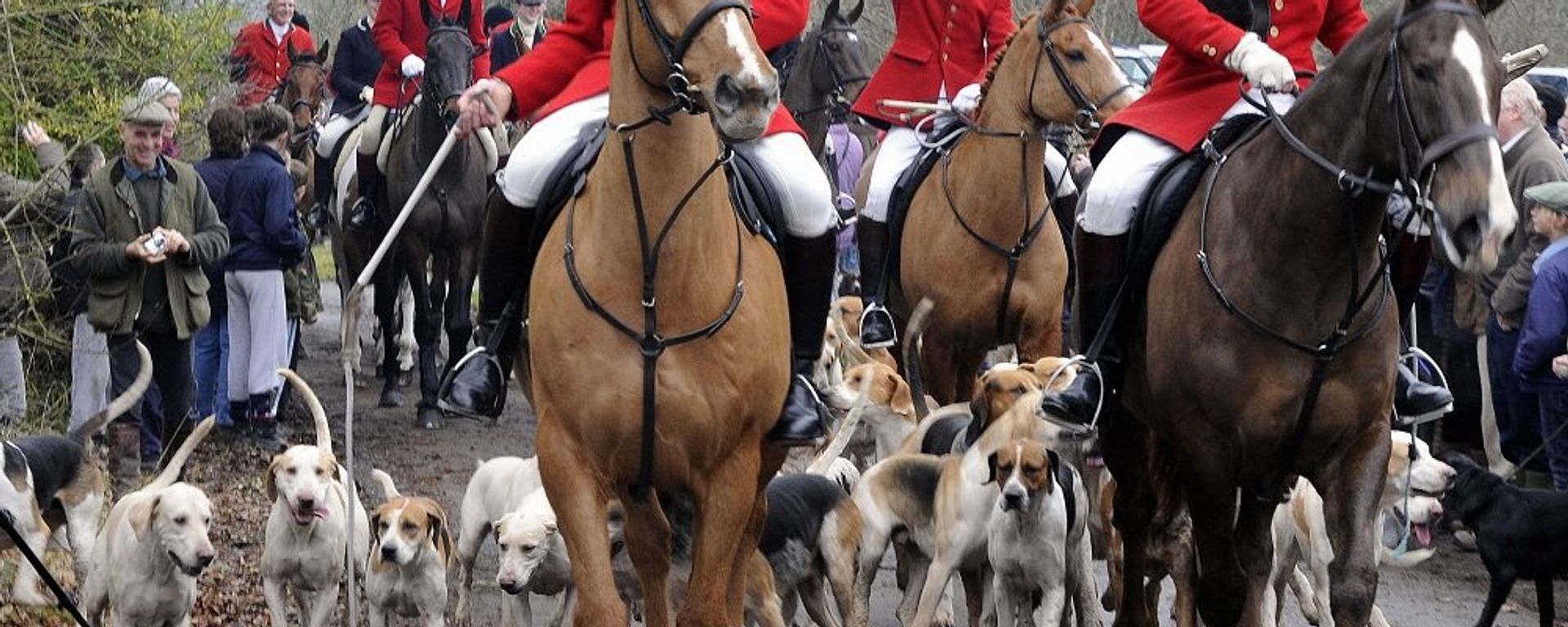 The Boxing Day hunt meeting at Chiddingstone Castle, Kent, Britain The Boxing Day hunt meeting at Chiddingstone Castle, Kent, Britain - Sputnik International, 1920, 26.12.2014