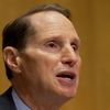 Senator Ron Wyden is a leading critic of torture and other national security overreach. He's set to introduce legislation next year designed to ensure that the US government never tortures again.   - Sputnik International