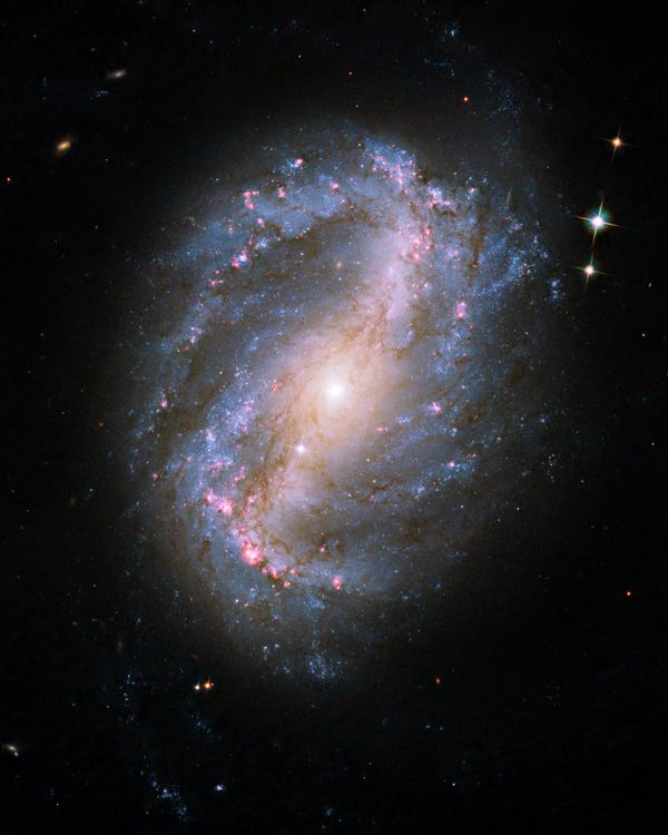 Barred spiral galaxy NGC 6217 - Sputnik International