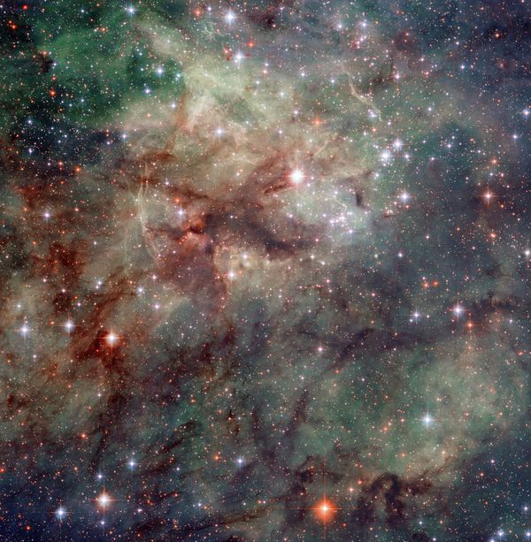 The Tarantula Nebula is the most luminous nebula of its type  in the local Universe. - Sputnik International