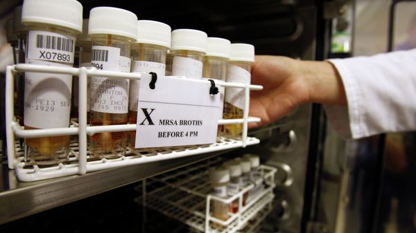 Scientists are calling a newly discovered antibiotic a breakthrough in the fight against drug-resistant infections. Scientists are calling a newly discovered antibiotic a breakthrough in the fight against drug-resistant infections. - Sputnik International