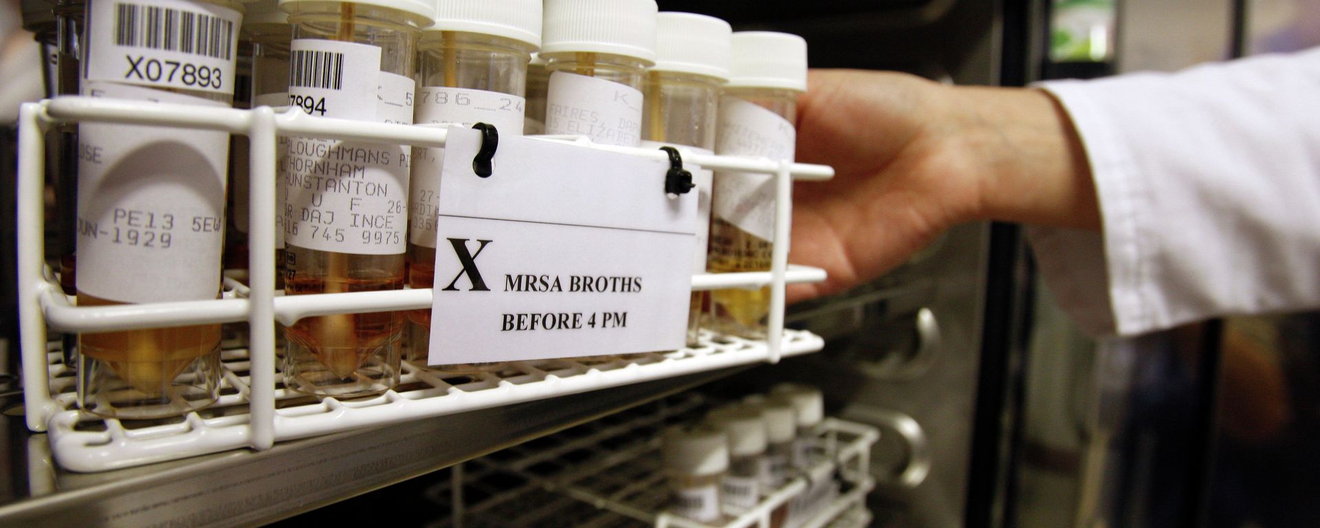 Scientists are calling a newly discovered antibiotic a breakthrough in the fight against drug-resistant infections. Scientists are calling a newly discovered antibiotic a breakthrough in the fight against drug-resistant infections. - Sputnik International, 1920, 03.10.2023