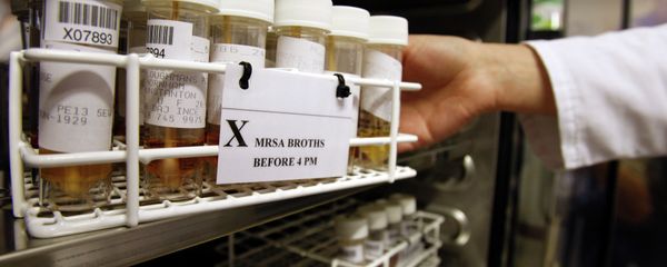 Scientists are calling a newly discovered antibiotic a breakthrough in the fight against drug-resistant infections. Scientists are calling a newly discovered antibiotic a breakthrough in the fight against drug-resistant infections. - Sputnik International