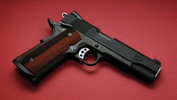 Springfield Armory FBI Special Bureau Model on a red background - Sputnik International