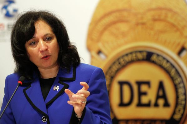 DEA Administrator Michelle Leonhart said that a proposal to use license-plate readers to track vehicles at gun shows was never put into action. - Sputnik International