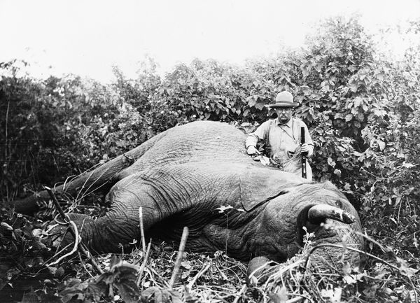13 Things You May Not Know About Teddy Roosevelt - Sputnik International