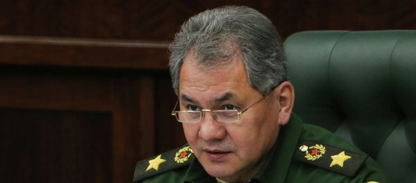 Russia's Defense Minister Sergei Shoigu - Sputnik International