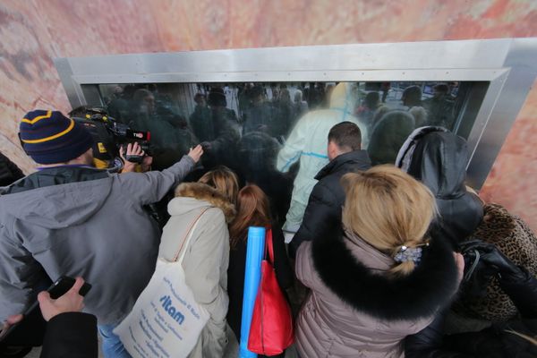 Baby Mammoth Yuka on Display in Moscow Baby Mammoth Yuka on Display in Moscow - Sputnik International