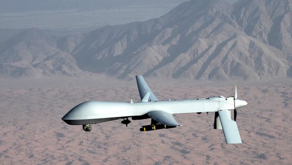 MQ-1 Predator unmanned aircraft MQ-1 Predator unmanned aircraft - Sputnik International