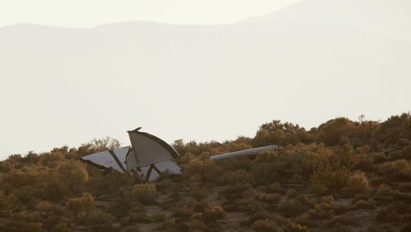 The crash site of Virgin Galactic's SpaceShipTwo - Sputnik International