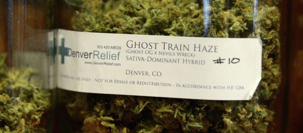 Denver Relief patients can choose from a range of different marijuana strains with colorful names like “Ghost Train Haze.” - Sputnik International