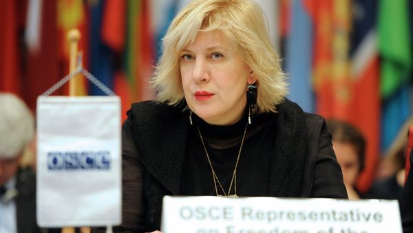 OSCE Representative on Freedom of the Media Dunja Mijatovic - Sputnik International