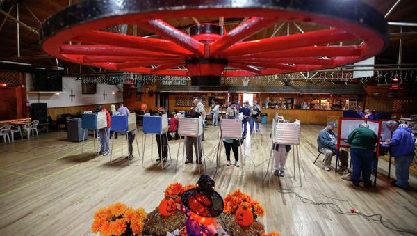 US Midterm Elections Issueless to Voters, Professor of History at American University said - Sputnik International