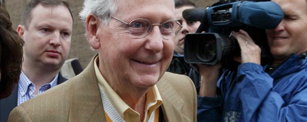 Senate Minority Leader Mitch McConnell, R-Ky., smiles after casting his ballot in the midterm election at the voting precinct at Bellarmine University in Louisville, Ky., Tuesday, Nov. 4, 2014 Senate Minority Leader Mitch McConnell, R-Ky., smiles after casting his ballot in the midterm election at the voting precinct at Bellarmine University in Louisville, Ky., Tuesday, Nov. 4, 2014 - Sputnik International