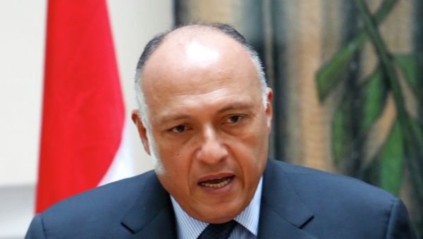 Egyptian foreign minister Sameh Shoukry Egyptian foreign minister Sameh Shoukry - Sputnik International