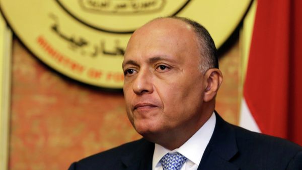 In this Friday, July 18, 2014, file photo, Egyptian Foreign Minister Sameh Shukri speaks during a news conference at the Egyptian Foreign Ministry in Cairo In this Friday, July 18, 2014, file photo, Egyptian Foreign Minister Sameh Shukri speaks during a news conference at the Egyptian Foreign Ministry in Cairo - Sputnik International