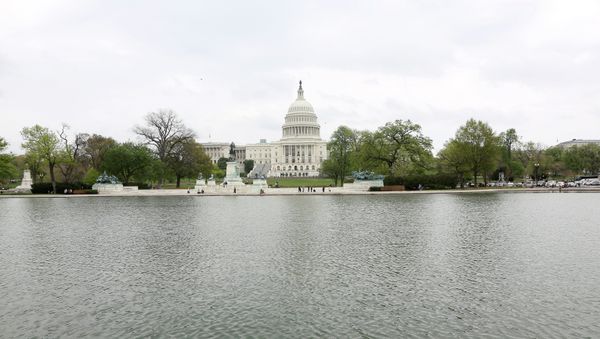 US Midterm Elections Influenced by Big Money, Lack of Transparency: Experts - Sputnik International