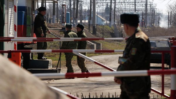 Western information about Russian troops near Ukrainian border is false, Defense Ministry said - Sputnik International