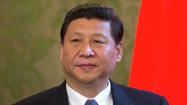 Xi Jinping addressed participants of the ongoing Asia-Pacific Economic Cooperation (APEC) CEO Summit in Beijing - Sputnik International