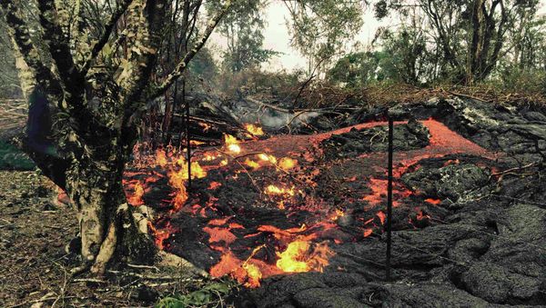 Lava from the Kilauea volcano has been creeping toward Pahoa for months - Sputnik International