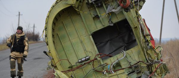 Investigating the Tragedy: Dutch Experts Clearing MH17 Crash Site - Sputnik International