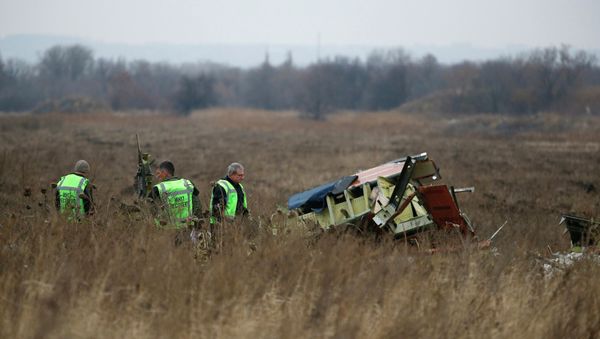 MH17 flight recovery team members examine one of the areas of the Malaysia Airlines Flight 17 plane crash MH17 flight recovery team members examine one of the areas of the Malaysia Airlines Flight 17 plane crash - Sputnik International