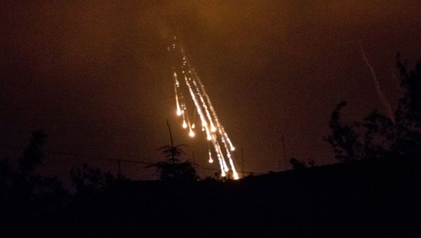 The usage of prohibited weaponry in southeastern Ukraine must be investigated, the Russian Foreign Ministry human rights ombudsman insists. - Sputnik International