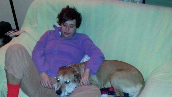 A high court in Spain reportedly could try Madrid Health Minister for killing of the dog - Sputnik International