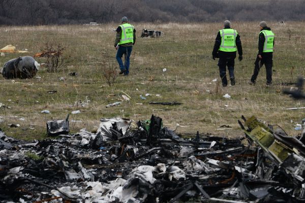 German Detective to Reveal Evidence on MH17 Crash if JIT Confirms Participation in Procedure - Sputnik International